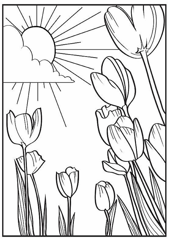 Coloring Pages | Printable Spring Coloring Pages